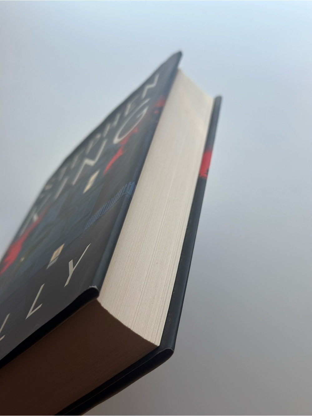 Holly by Stephen King | Fiction, Thriller | Hardcover Book - Picture 9 of 11